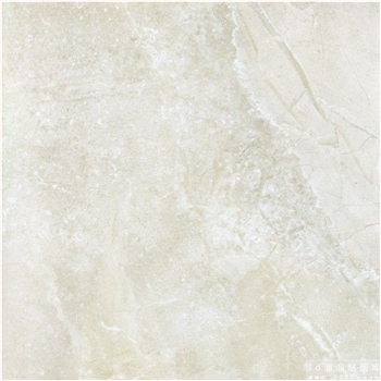 阿米拉高档室内瓷砖