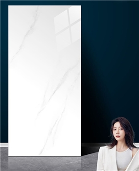 广东阿米拉-高档墙地面瓷砖